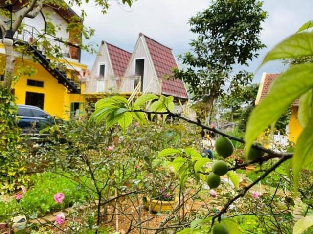 Bo House Hotel Moc Chau Ngoại thất bức ảnh